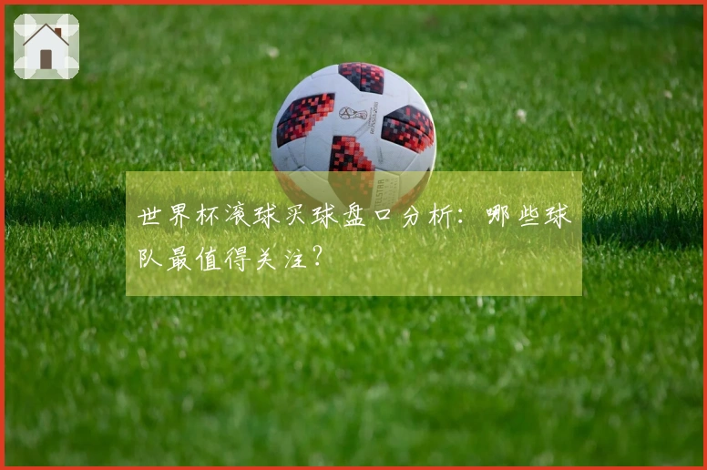 世界杯滚球买球盘口分析：哪些球队最值得关注？