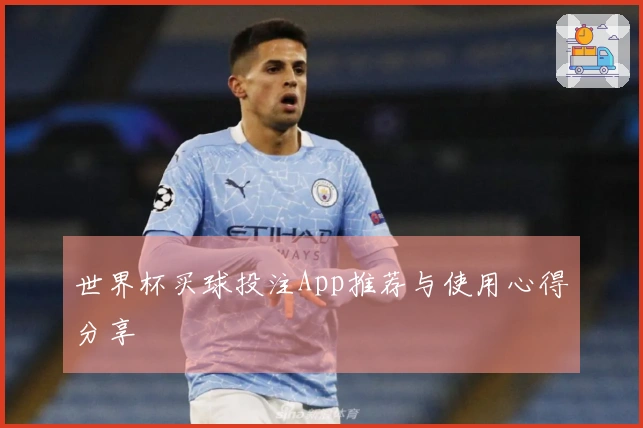 世界杯买球投注App推荐与使用心得分享