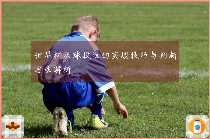 世界杯买球投注的实战技巧与判断方法解析