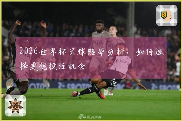 2026世界杯买球赔率分析，如何选择更优投注机会