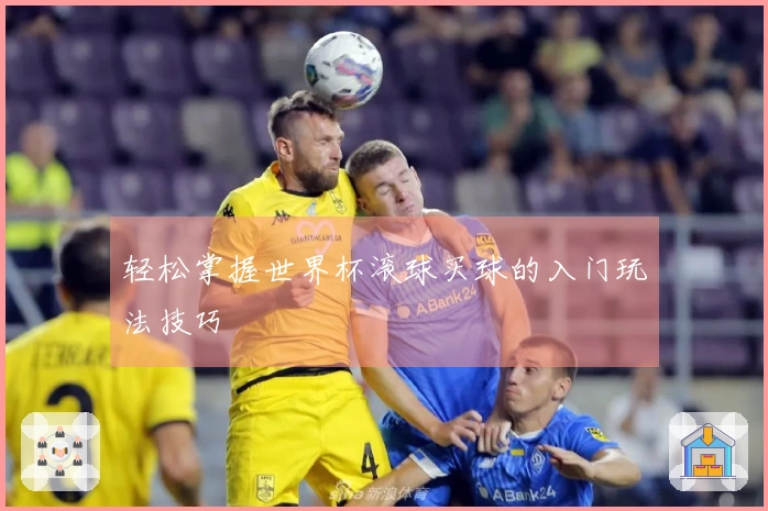 轻松掌握世界杯滚球买球的入门玩法技巧