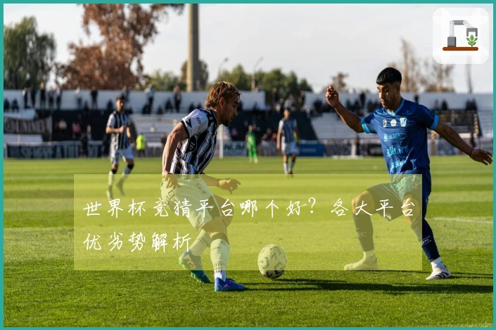 世界杯竞猜平台哪个好？各大平台优劣势解析